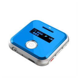 環(huán)格H R300 錄音筆 MP3播放器 專業(yè)錄音 運動MP3音樂播放器 藍色錄音筆產(chǎn)品圖片1